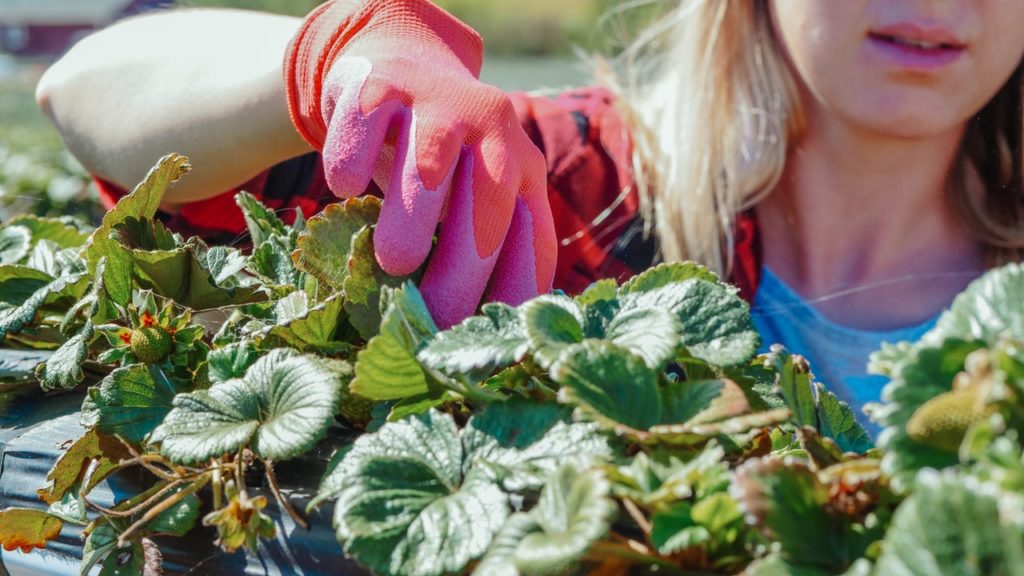 Skolungdom och studerande – så beräknas rätt skatteavdrag